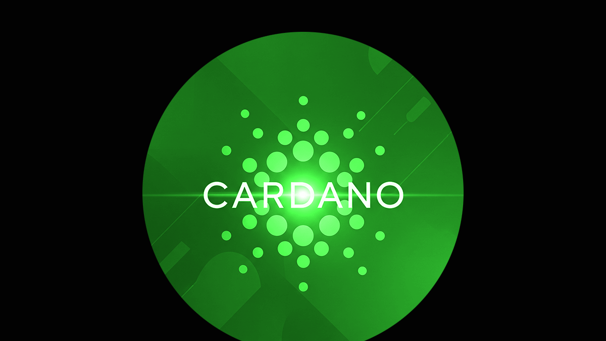 Product Roadmap 2025